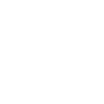 Logo Icon
